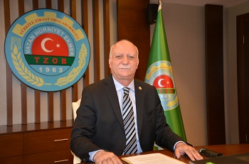 Å�emsi Bayraktar