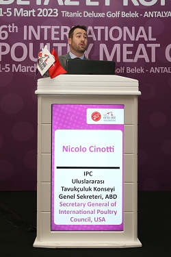 Nicolo Cinotti