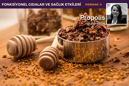 Propolis webinarÄ±