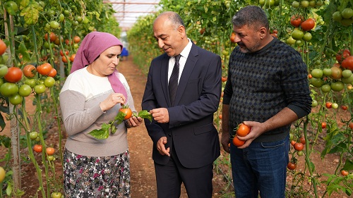 ŞOK Marketler sebze ve meyve