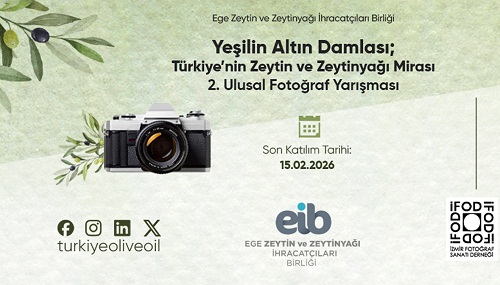 Zeytin - zeytinyapı fotoğraf yarışması