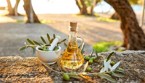 Zeytin ve zeytinyağı