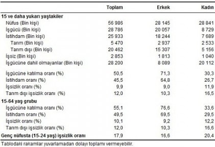 tablo kadın istihdamı