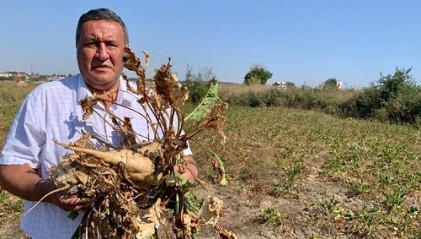 Ömer Fethi Gürer