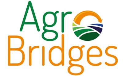 agroBRIDGES