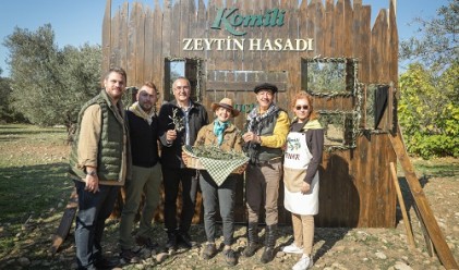 Komili zeytin hasadÄ±