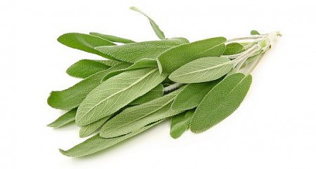 adacayi.jpg