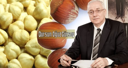 dursun_oguz_gursoy.jpg