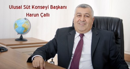 harun_calli1.jpg