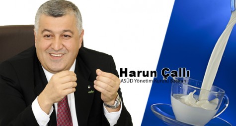 harun_calli2.jpg