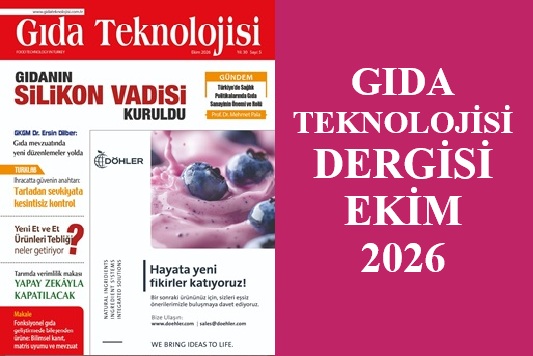 Dergi