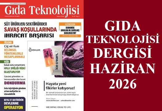 Dergi